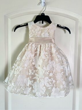Crayon Kids Champagne Lace Overlay Special Occasion Flower Girl Dress Bow Back